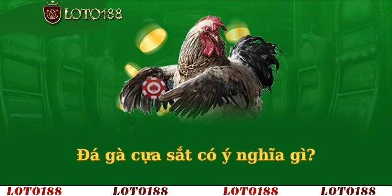 Đá gà cựa sắt có ý nghĩa gì?