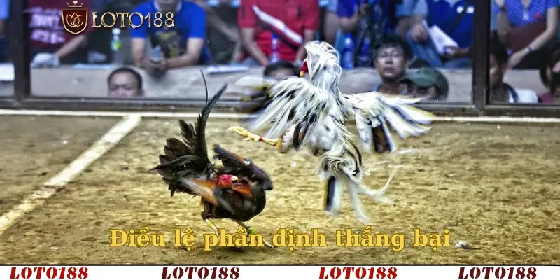 Điều lệ phân định thắng bại