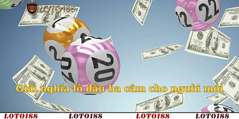 Giải nghĩa lô đầu ba câm cho người mới