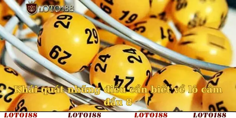 Khái quát những điều cần biết về lô câm đầu 8
