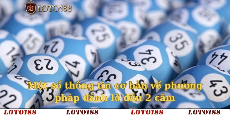 Một số thông tin cơ bản về phương pháp đánh lô đầu 2 câm