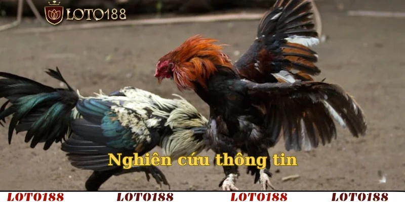 Nghiên cứu thông tin