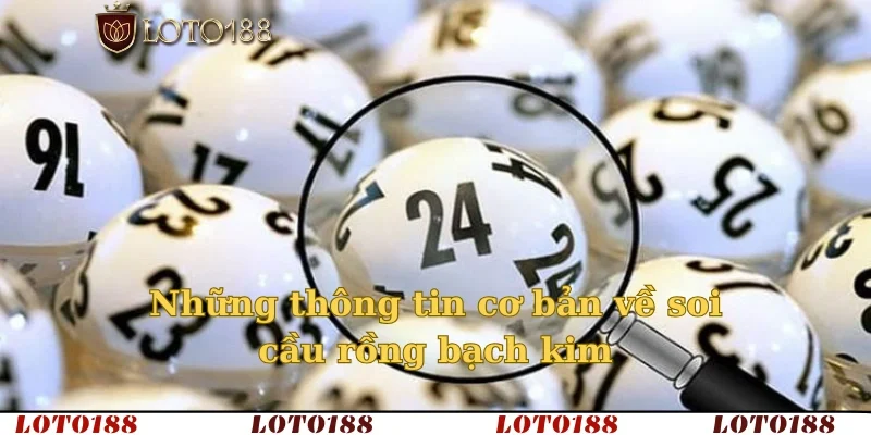 Những thông tin cơ bản về soi cầu rồng bạch kim