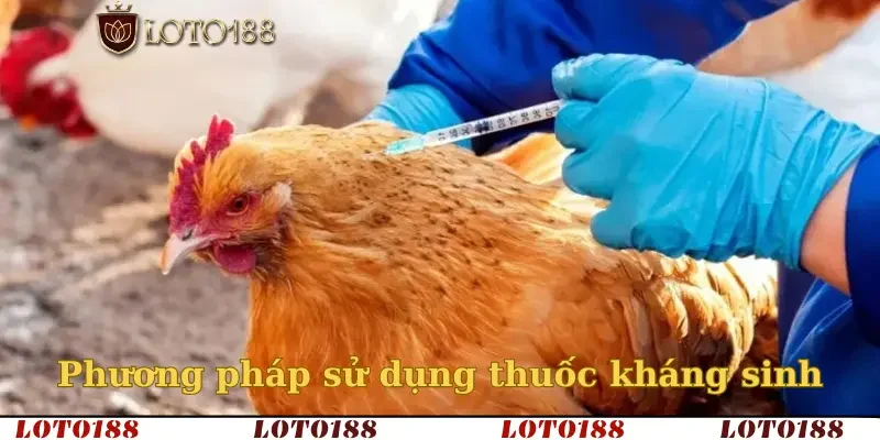 Phương pháp sử dụng thuốc kháng sinh