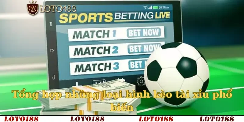Tổng hợp những loại hình kèo tài xỉu phổ biến