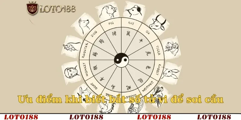 Ưu điểm khi biết bắt số tử vi để soi cầu