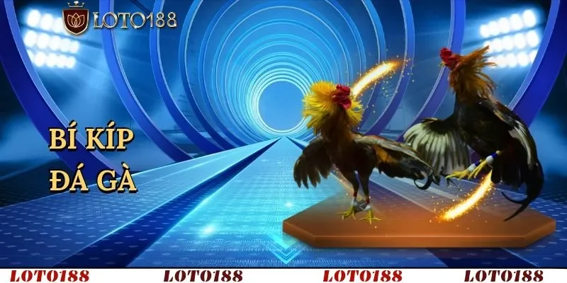 Cần chiến thuật, phân tích và biết điểm dừng đúng lúc