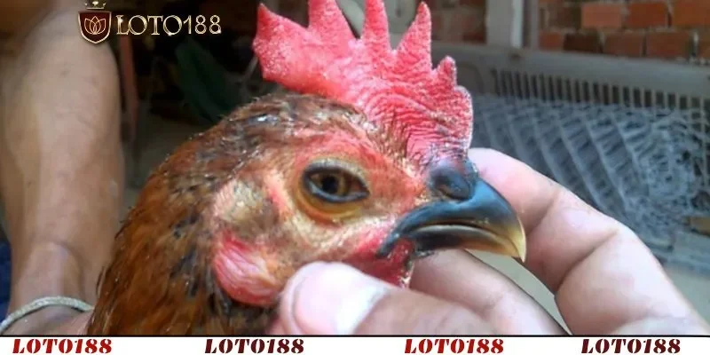 Điều trị đúng cách và phòng bệnh chủ động