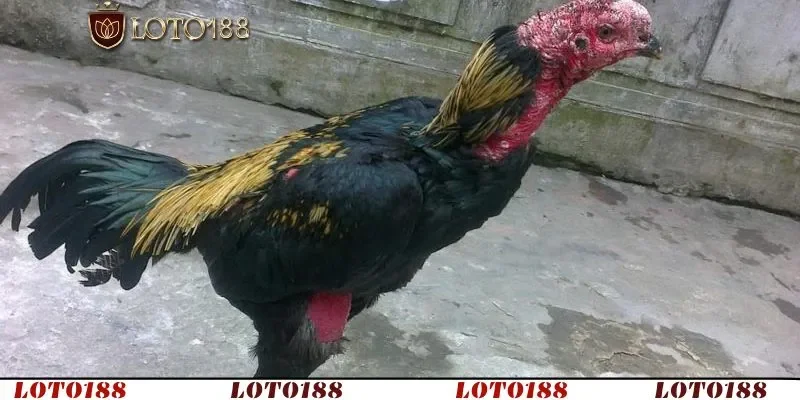 Hướng dẫn cụ thể các phương pháp điều trị khoa học