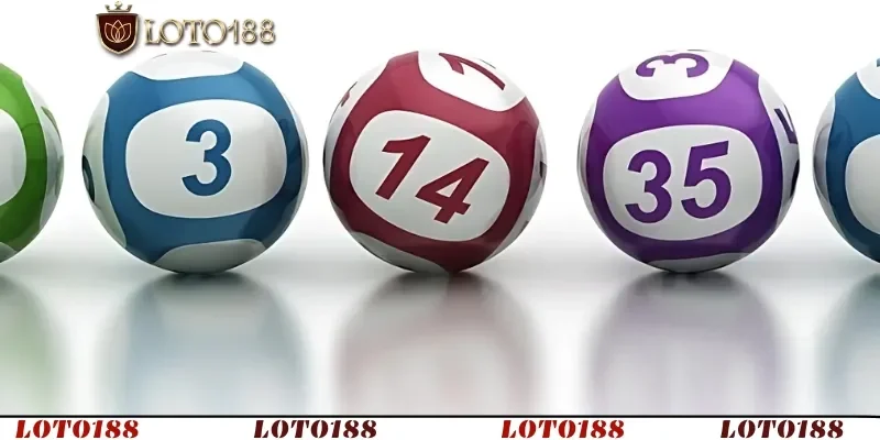 Phân tích dữ liệu giúp chọn số chính xác dựa trên xu hướng thực tế