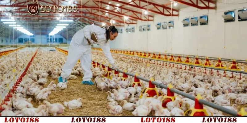 Phòng bệnh vẫn là giải pháp bền vững và tiết kiệm chi phí