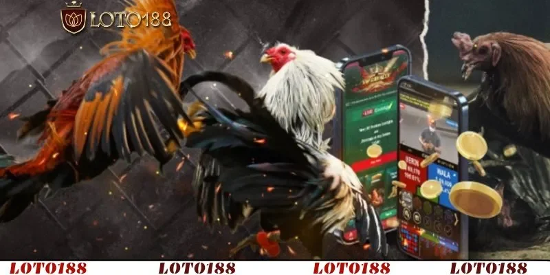 Xem trực tiếp các trận đấu C1 ngay tại nhà